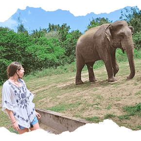 lia-from-leiden-underground-watching-wild-elephant-at-yala
